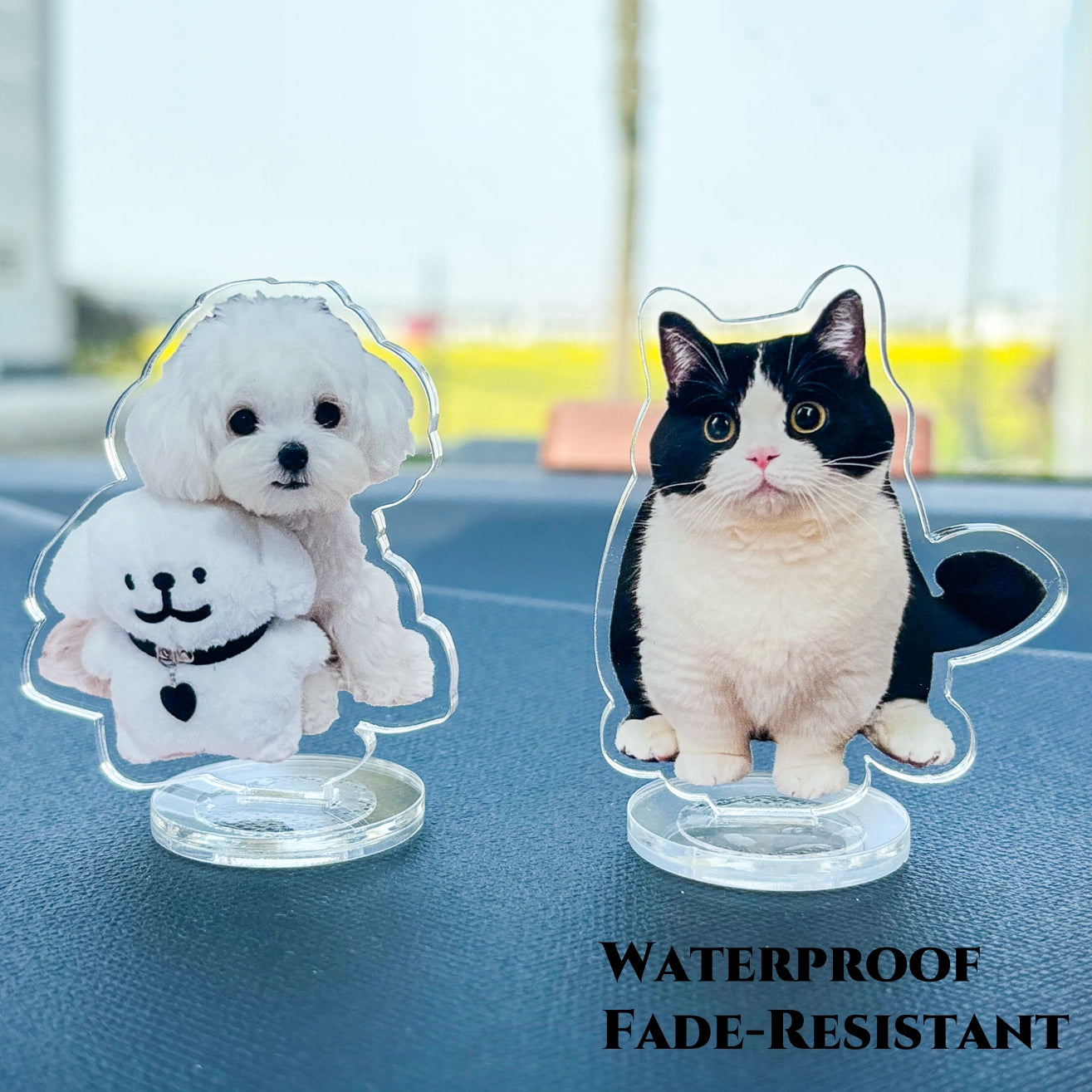 Custom Pet Acrylic Standee - Double-Sided Waterproof Display