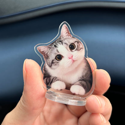 Custom Pet Acrylic Standee - Double-Sided Waterproof Display