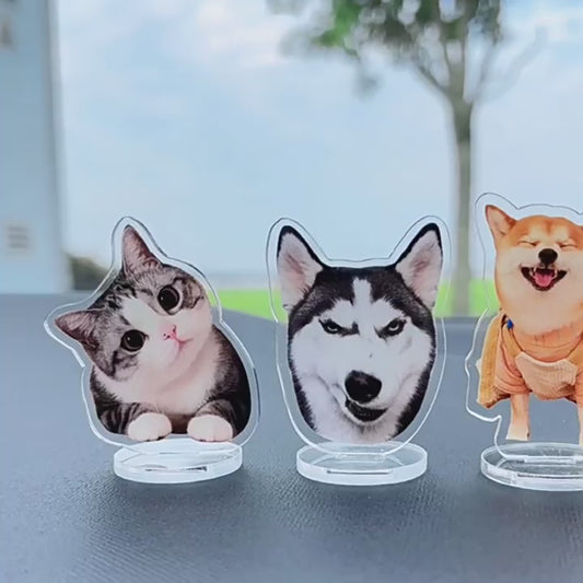 Custom Pet Acrylic Standee - Double-Sided Waterproof Display